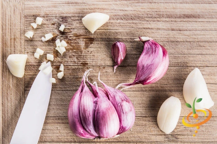 Garlic - (Soft Neck) Early Purple Italian (Organic) 7 Garlic - (Soft Neck) Early Purple Italian (Organic) - Image 5