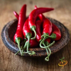 Pepper (Hot) - Cayenne, Red 🔥🔥🔥 -Speed now 700xCayenne