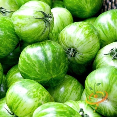 Tomato - Green Striped Zebra (Semi-determinate) 3 Tomato - Green Striped Zebra (Semi-determinate)