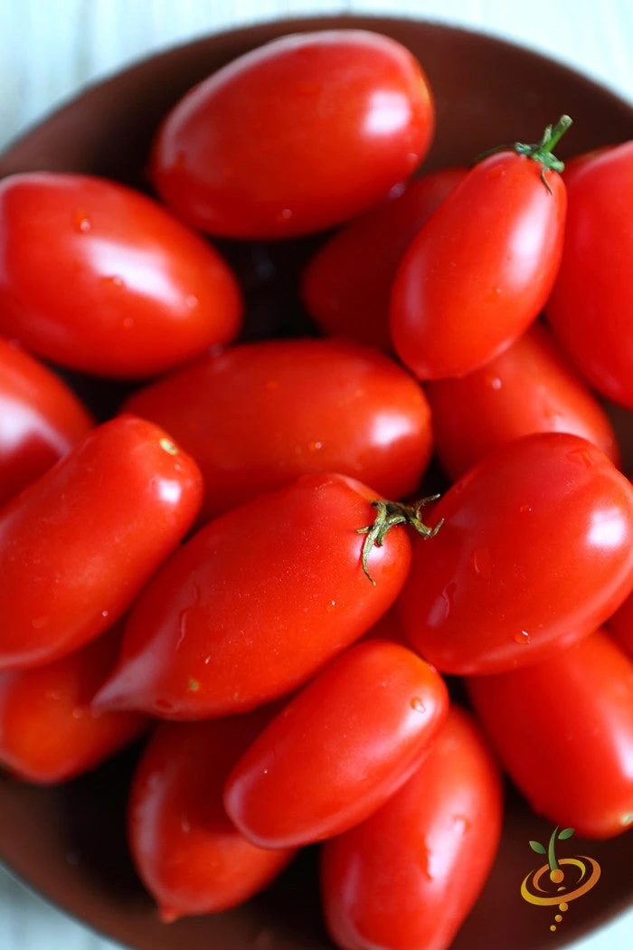 Tomato - Rio Grande (Determinate) 7 Tomato - Rio Grande (Determinate) - Image 5