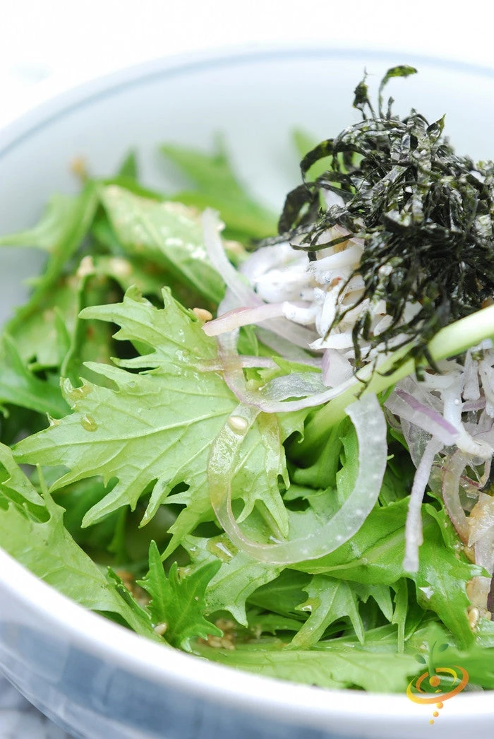 Mustard - Mizuna 8 Mustard - Mizuna - Image 6