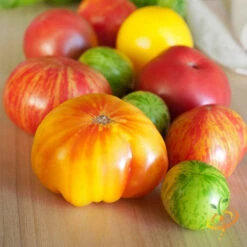 Tomato - Heritage Rainbow Mix (Indeterminate) 15 Tomato - Heritage Rainbow Mix (Indeterminate) -Speed now 700xshutterstock 109475894 700x 81fbee95 97e5 4f5e 9321 41f29fa367b2