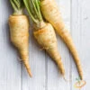 Parsnip - Harris Model -Speed now 700xshutterstock 131179013 700x df6d06cb cb61 487a 8fae baf6c8f01c49
