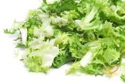 Endive - Green Curled -Speed now 700xshutterstock 134538587