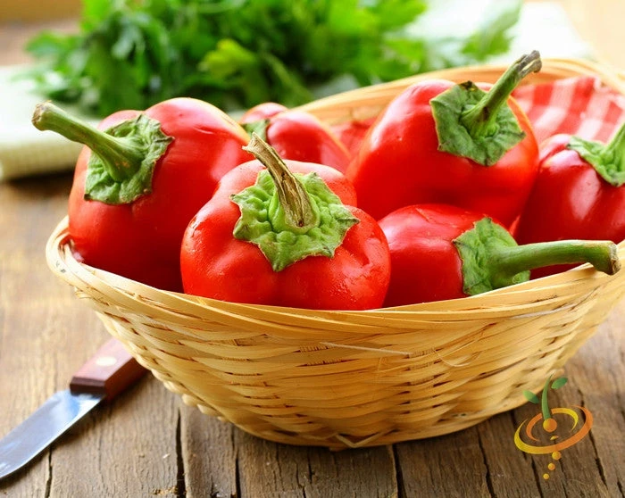 Pepper (Sweet) - Pimento 4 Pepper (Sweet) - Pimento - Image 2