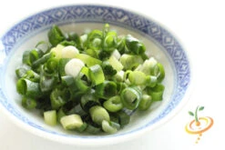 Onion - Evergreen (Bunching) 16 Onion - Evergreen (Bunching) -Speed now 700xshutterstock 138871319