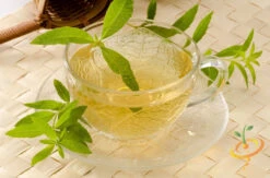 Mint - Lemon 13 Mint - Lemon -Speed now 700xshutterstock 138952202