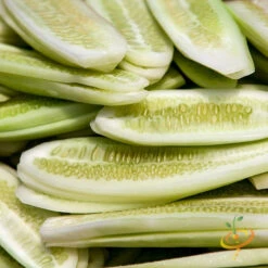 Cucumber - White Wonder 13 Cucumber - White Wonder -Speed now 700xshutterstock 140891278