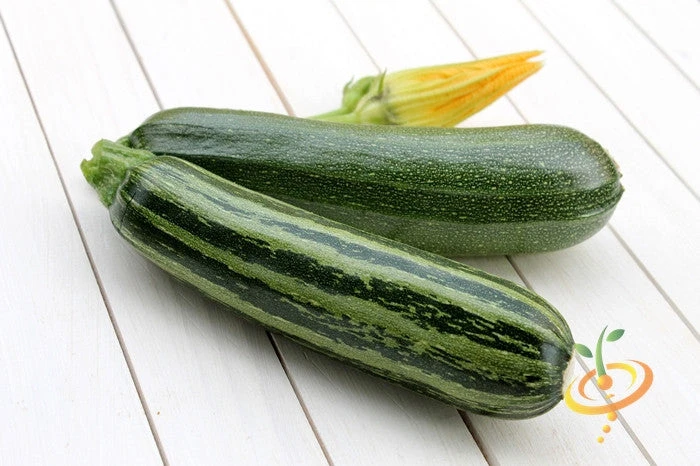 Squash (Summer) - Caserta 4 Squash (Summer) - Caserta - Image 2