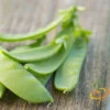 Pea - Oregon Sugar Pod -Speed now 700xshutterstock 144797227 700x 8e9c4816 ff8b 4547 be23 e456d95aac85