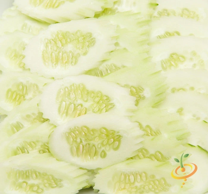 Cucumber - White Wonder 4 Cucumber - White Wonder - Image 2