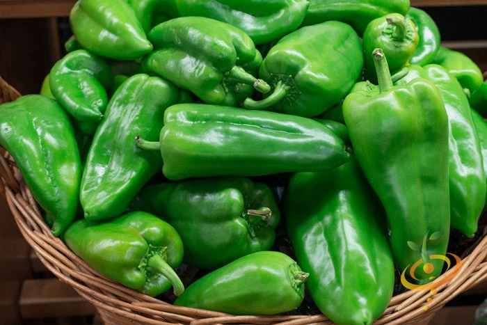 Pepper (Hot) - Ancho Grande 🔥 4 Pepper (Hot) - Ancho Grande 🔥 - Image 2