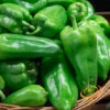 Pepper (Hot) - Ancho Grande 🔥 2 Pepper (Hot) - Ancho Grande 🔥 -Speed now 700xshutterstock 147876263 700x 9c34142a 6c19 4285 9faa 286d76d36ef0