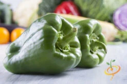 Pepper (Hot) - Poblano 🔥 -Speed now 700xshutterstock 150114665 4260827d fb30 4f8a b1e0 d556b89b1bbe