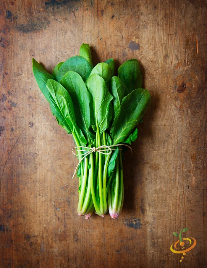 Spinach - Bloomsdale 5 Spinach - Bloomsdale - Image 3