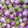 Eggplant - Round Mauve 2 Eggplant - Round Mauve -Speed now 700xshutterstock 151637918 700x f8a3fb6e 6b0e 4912 be5e 8e3cd7b9bfb3