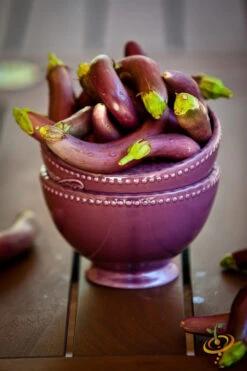 Eggplant - Long Ping Tung -Speed now 700xshutterstock 153605852