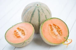 Melon (Cantaloupe) - Hales Best Jumbo -Speed now 700xshutterstock 154216889