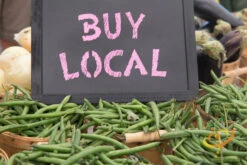 Bean, Bush - Contender -Speed now 700xshutterstock 154793108