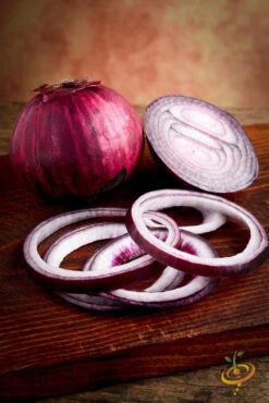 Onion - Red Burgundy (Short Day) 11 Onion - Red Burgundy (Short Day) -Speed now 700xshutterstock 156468806