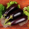 Eggplant - Florida Market -Speed now 700xshutterstock 159984134 700x 62ba6799 9eea 4b8a b1c8 753ce8847538