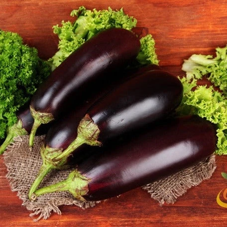 Eggplant - Florida Market 3 Eggplant - Florida Market