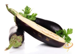 Eggplant - Florida Market 15 Eggplant - Florida Market -Speed now 700xshutterstock 160490177