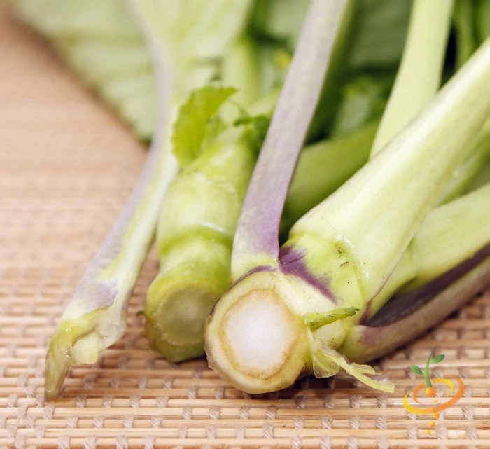 Mustard - Old Fashion 5 Mustard - Old Fashion - Image 3