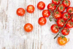 Tomato - Tiny Tim (Determinate) -Speed now 700xshutterstock 170787962