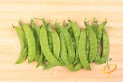 Pea (Snow) - Oregon Giant 18 Pea (Snow) - Oregon Giant -Speed now 700xshutterstock 179579543