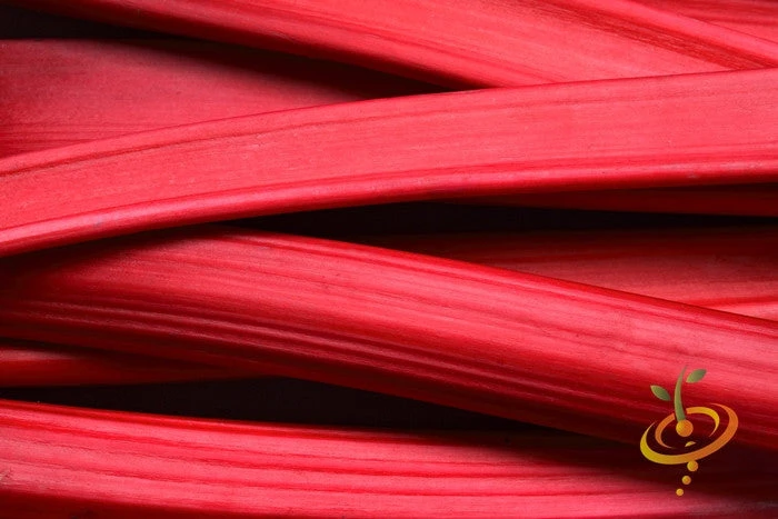 Rhubarb Root, Crimson Cherry 7 Rhubarb Root, Crimson Cherry - Image 5