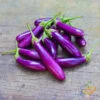 Eggplant - Long Ping Tung 2 Eggplant - Long Ping Tung -Speed now 700xshutterstock 182017742