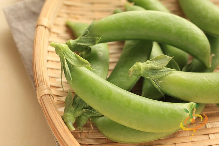 Pea (Snap) - Sugar 5 Pea (Snap) - Sugar - Image 3