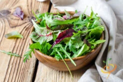 Lettuce - Gourmet/Mesclun Mix 12 Lettuce - Gourmet/Mesclun Mix -Speed now 700xshutterstock 185953340