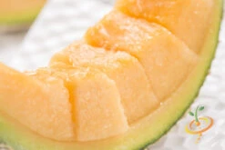 Melon (Cantaloupe) - Planters Jumbo 14 Melon (Cantaloupe) - Planters Jumbo -Speed now 700xshutterstock 186812645