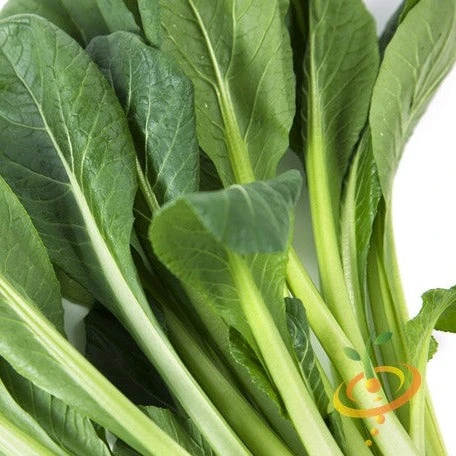 Mustard - Tendergreen 3 Mustard - Tendergreen