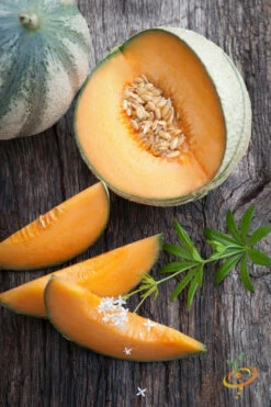 Melon (Cantaloupe) - Hales Best Jumbo -Speed now 700xshutterstock 188318723
