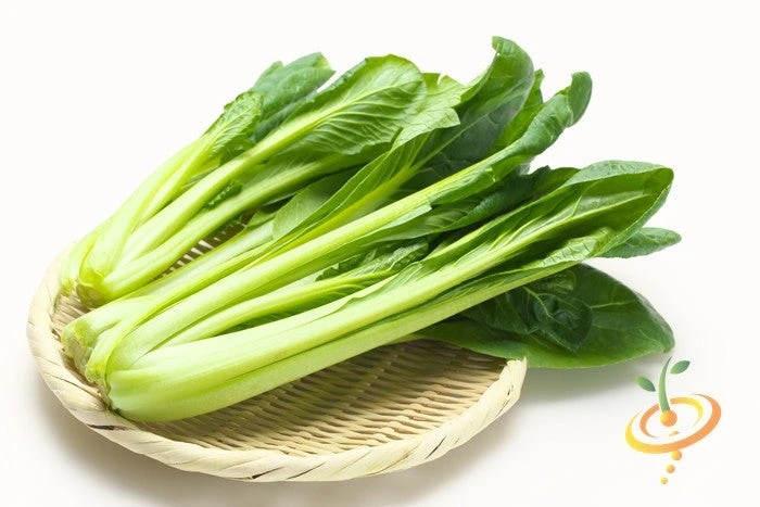 Mustard - Tendergreen 9 Mustard - Tendergreen - Image 7