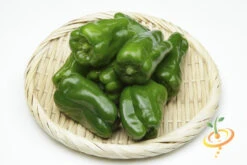 Pepper (Hot) - Ancho Grande 🔥 11 Pepper (Hot) - Ancho Grande 🔥 -Speed now 700xshutterstock 190506200