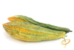 Melon - Banana -Speed now 700xshutterstock 192228485 1