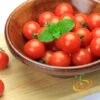 Tomato - Tiny Tim (Determinate) -Speed now 700xshutterstock 192380963 700x 3a593e0c 9270 4369 99ee 60d683a6160e