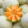 Melon (Cantaloupe) - Planters Jumbo -Speed now 700xshutterstock 194922302 700x 9a7a0918 b515 4c56 a9ea 414a0823d392