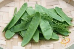 Pea (Snow) - Oregon Giant 19 Pea (Snow) - Oregon Giant -Speed now 700xshutterstock 199397561