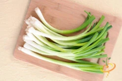 Onion - Evergreen (Bunching) 13 Onion - Evergreen (Bunching) -Speed now 700xshutterstock 202772854