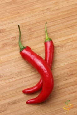 Pepper (Hot) - Cayenne, Red 🔥🔥🔥 -Speed now 700xshutterstock 203090176