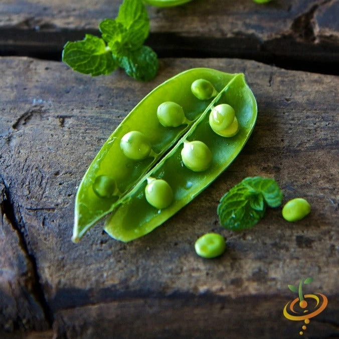 Pea (Snap) - Sugar 3 Pea (Snap) - Sugar