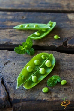 Pea (Snap) - Sugar 18 Pea (Snap) - Sugar -Speed now 700xshutterstock 204425740 700x cafab32e ef5b 458c ae20 1693ed18aabd