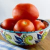 Tomato - Rutgers (Indeterminate) -Speed now 700xshutterstock 207009082 700x cfc9cc19 fa32 4d31 a03f 52a25e6421a2