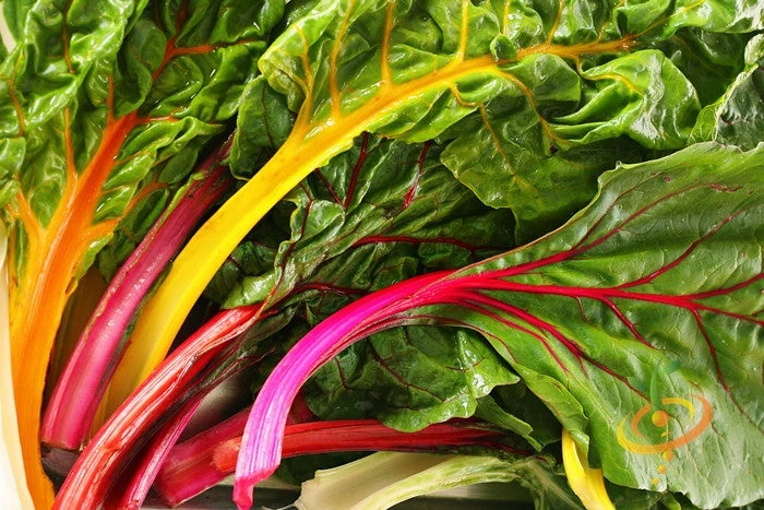 Swiss Chard - Rainbow Mix 4 Swiss Chard - Rainbow Mix - Image 2