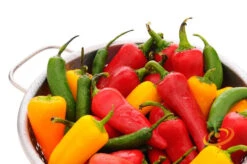 Pepper (Hot) - Serrano Tampiqueno 🔥🔥 9 Pepper (Hot) - Serrano Tampiqueno 🔥🔥 -Speed now 700xshutterstock 72136480